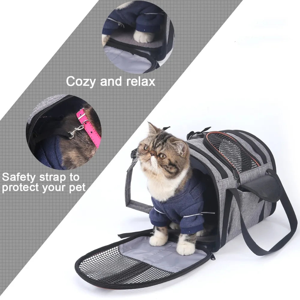 https://ae01.alicdn.com/kf/HTB18MHSae6sK1RjSsrbq6xbDXXaf/Cat-Carrier-backpack-Multi-functional-Folding-Pet-Puppy-Dog-Cat-Car-Seat-Basket-Carry-Cat-Bag.jpg